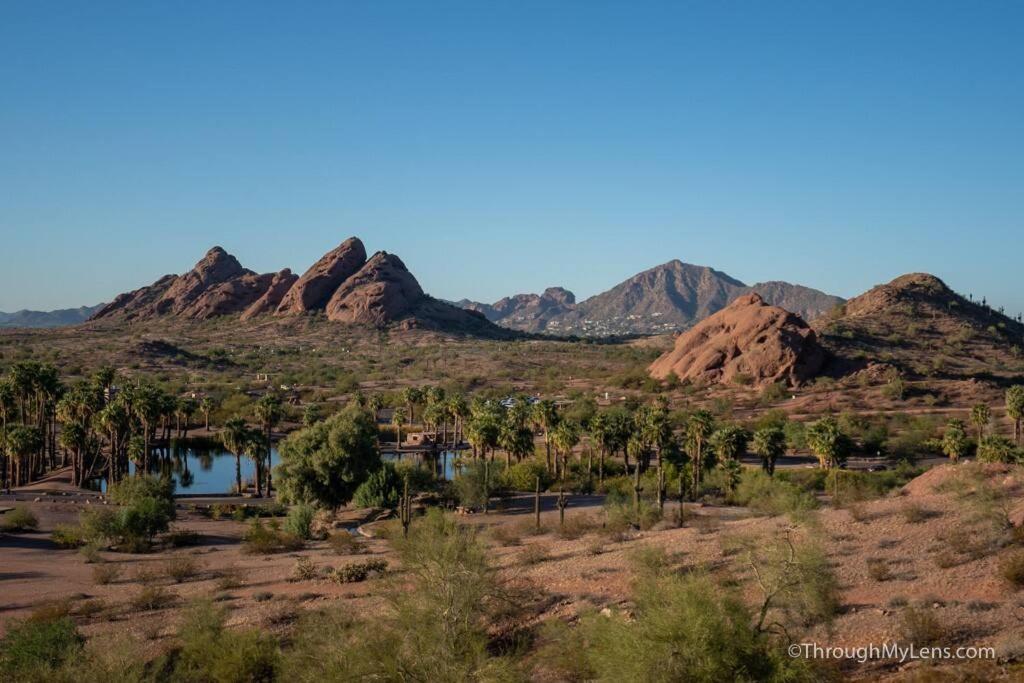 Modern Tempe Home With Heated Pool, Asu Dış mekan fotoğraf